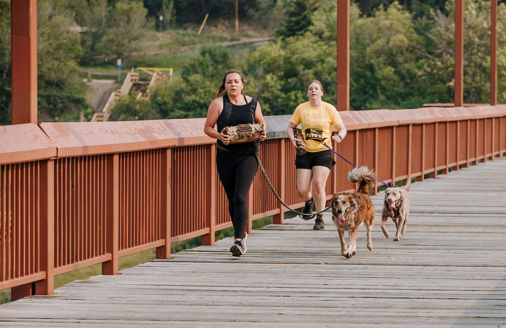 Zulu K9 Challenge Edmonton 2024