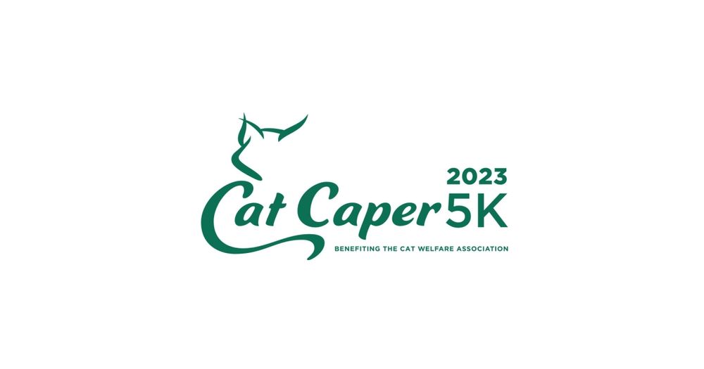 Cat Caper 5K