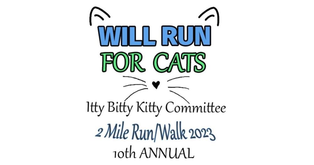 Itty Bitty Kitty 2 Miler