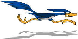 Roadrunner Dash