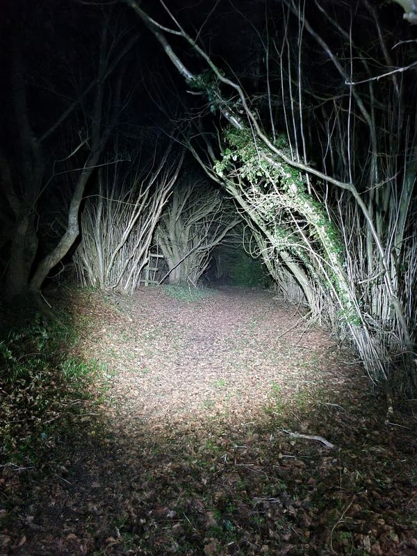 Marlow Moonlight - 10km - Chilterns Night Trails - Guided Run