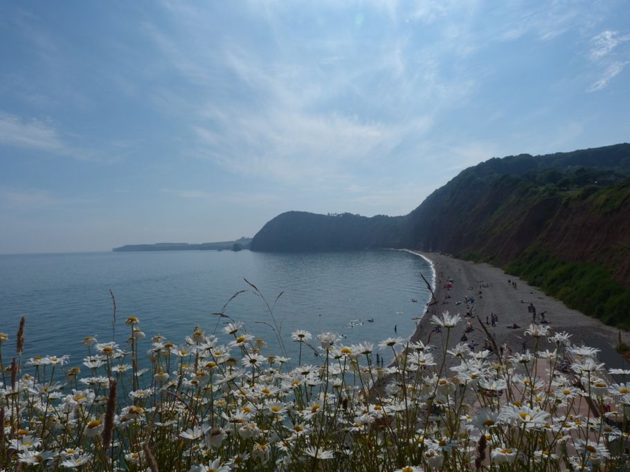 Sidmouth 10k