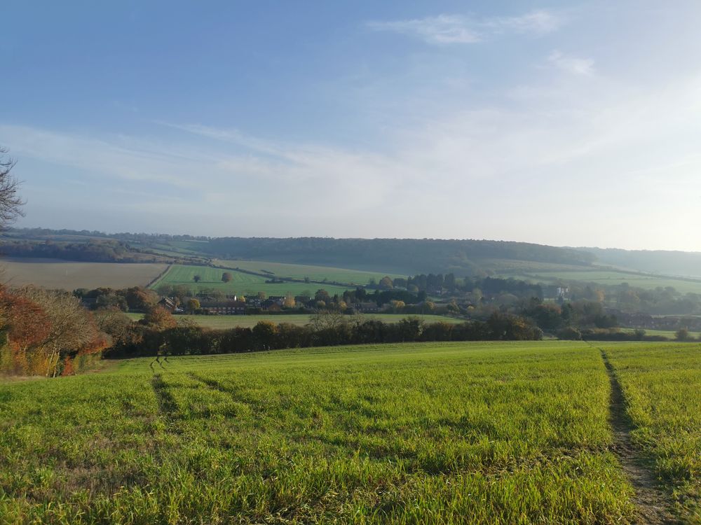 Saunderton Trails - Guided Run - Chilterns - 11 miles