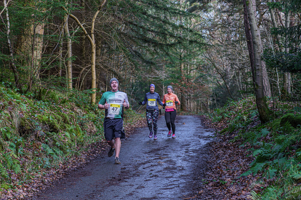 Hamsterley Forest Winter Trail Half Marathon and 10k