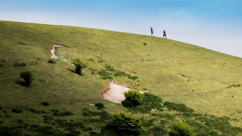 Chiltern Ridge 50K