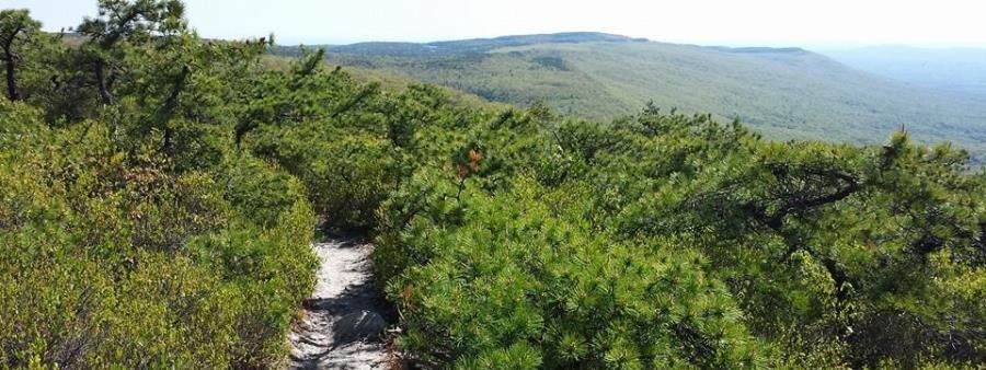 Shawangunk Ridge Trail Run