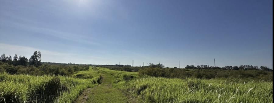 Peace River 50k
