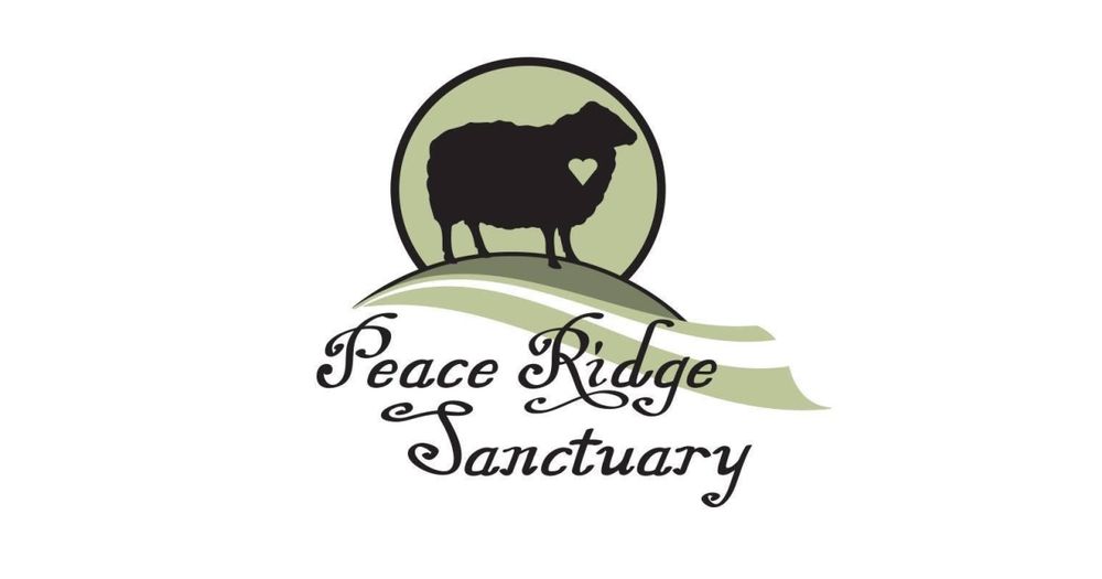 Peace Ridge Sanctuary’s 5k Run for the Animals & 1 Mile Fun Walk
