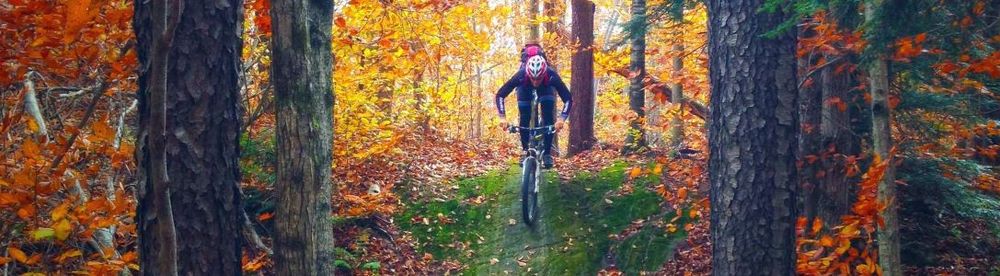 Frosty Woods MTB Race