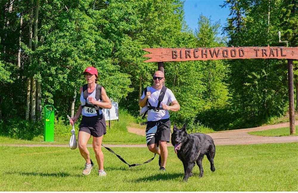 Zulu K9 Challenge Fort McMurray 2025