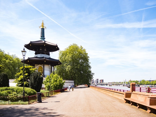 Battersea Winter Run Festival