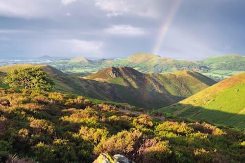 Summer Camp Shropshire