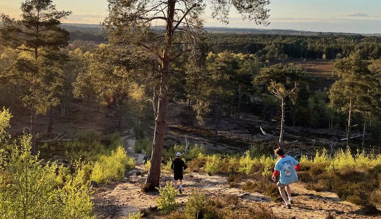 Hankley Common 10k - January