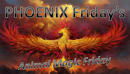 PHOENIX Fridays - Animal Magic Friday