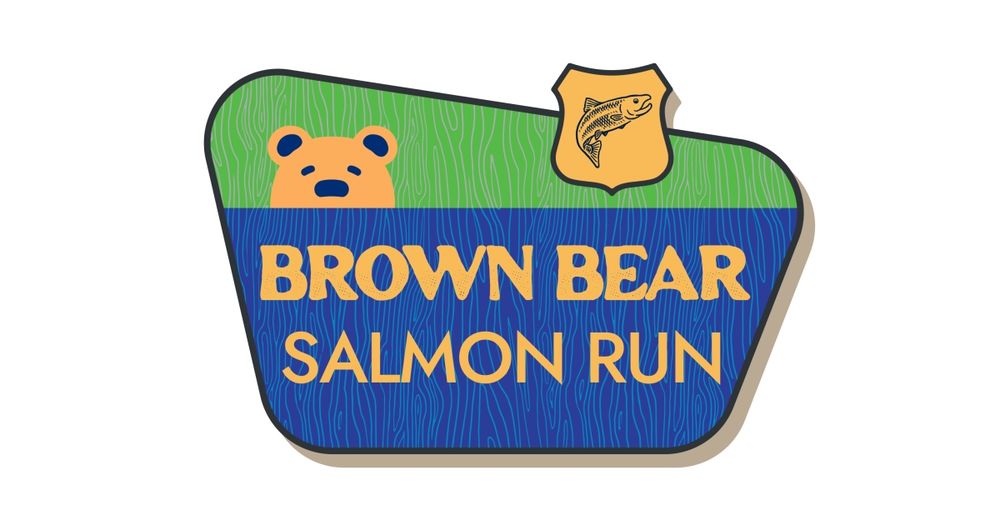 Brown Bear Salmon Run