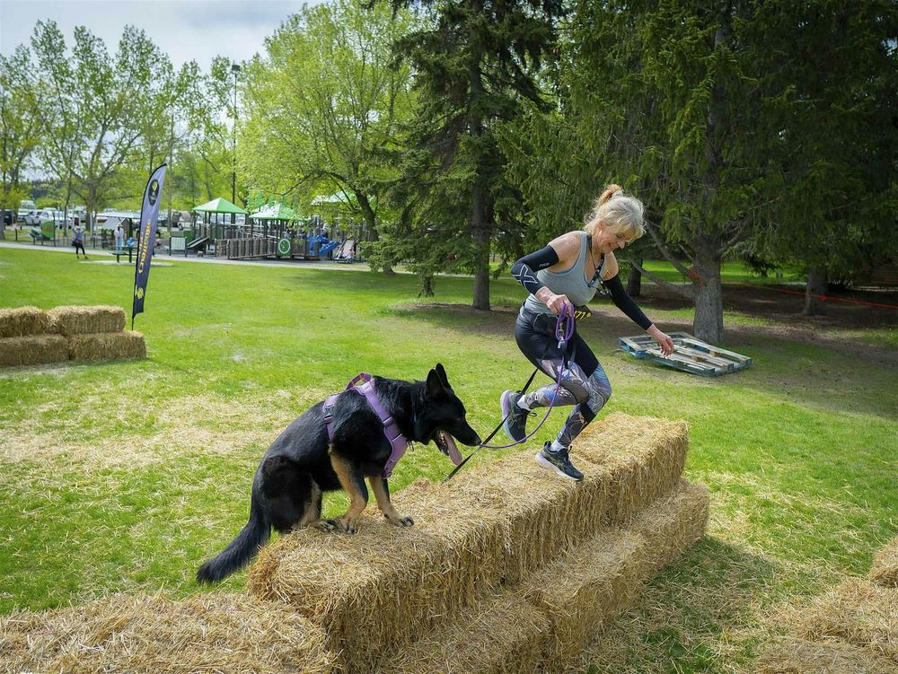 Zulu K9 Challenge Calgary