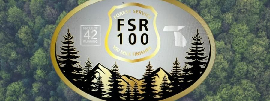 FSR 100