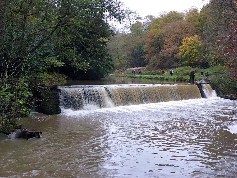 Sunday Social - Frome Valley 8 (miles)