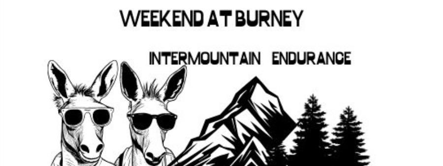 Weekend at Burney