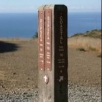 2025 Stinson Beach/Muir Woods Marathon, Half Marathon & 7 Mile