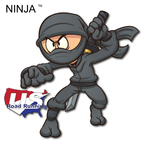 Ninja 1M, 5K, 10K, 15K, & Half Marathon at Vietnam Veterans Park