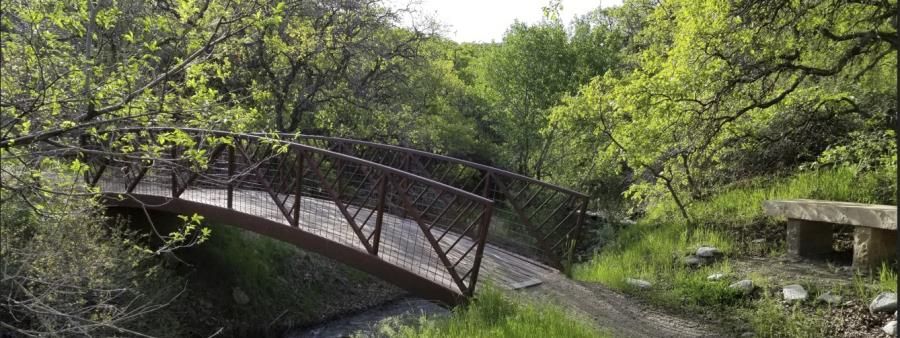 Corner Canyon 5k Series