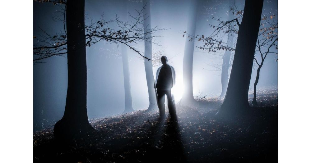 Haunted Forest Marathon