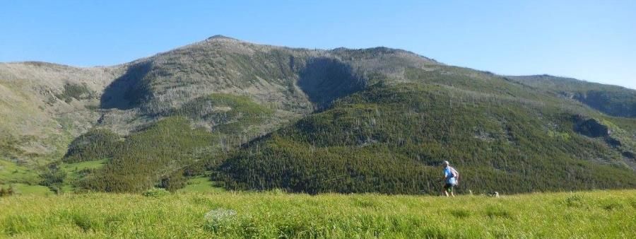 HURL Elkhorn 50 Miler, 50K, and 13.1 Miler