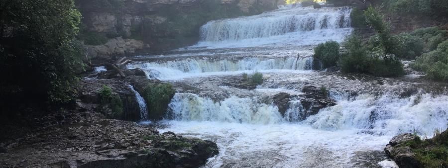 Trout Brook 10-Miler