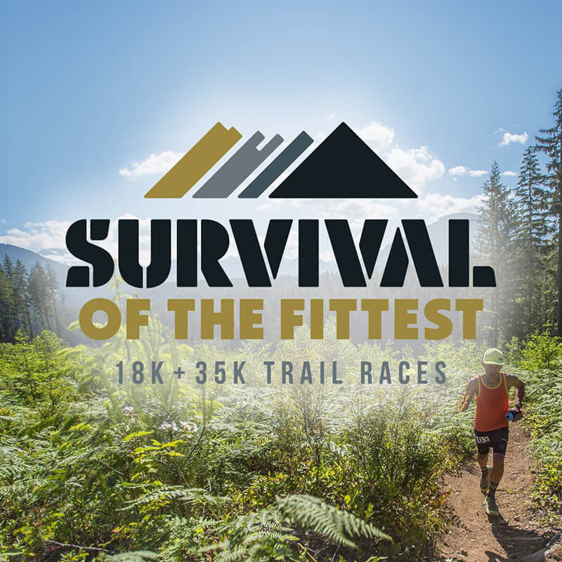 Survival of the Fittest
