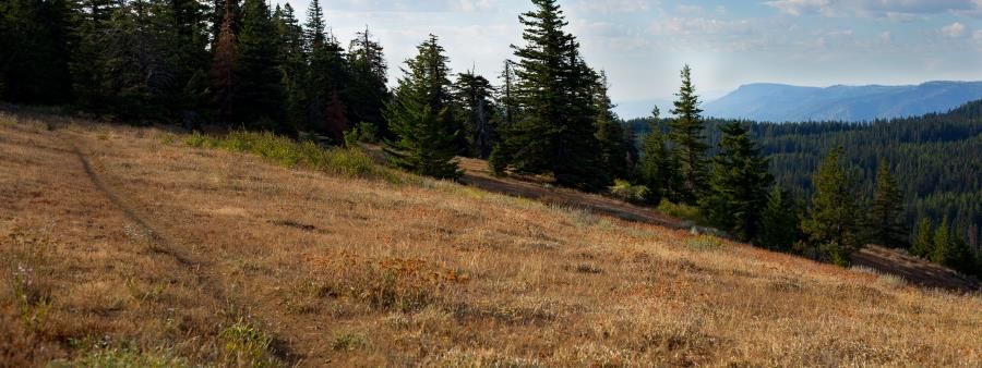 Umatilla Rim Ripper