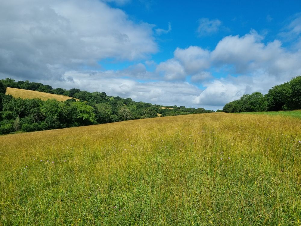 Chiltern Velo Valleys - 10 Miles - Guided Run - Chilterns
