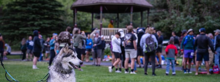 Ouray 100 Mile Endurance Run
