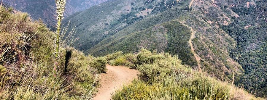 That's No Moon Trail Races