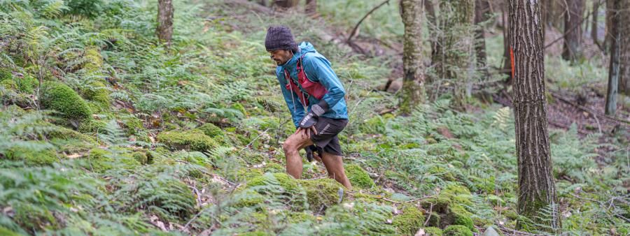 Black Forest Ultra