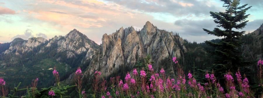 Cascade Crest 100