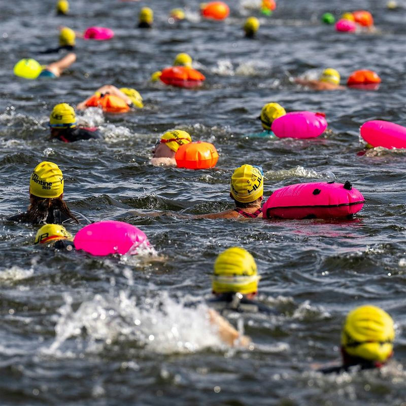 Swim Serpentine 2025