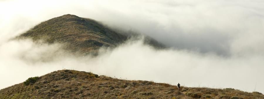 Tough Mugu