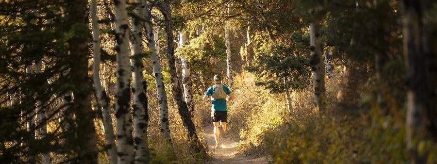 Gaspin' Through The Aspens