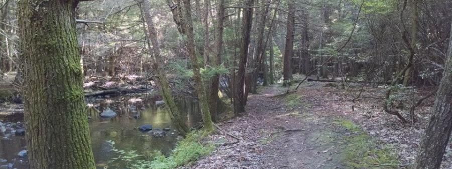 Nipmuck South Trail Race