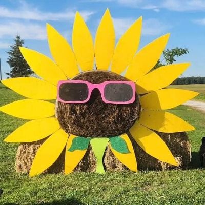 Mapleton Sunflower Run 2025