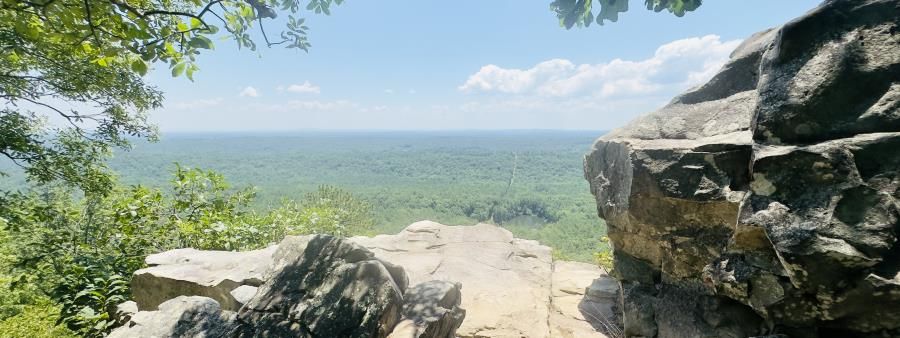 Shiner Ridge Revival 7.4 Mile Trail Run