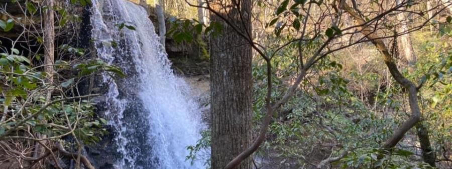 Lost Falls Trail Run