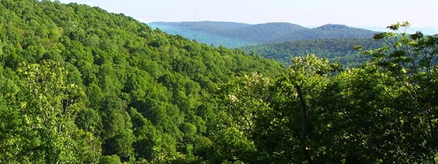 Big Foot Trail Run