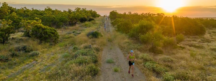 Elder Creek Night Runs 2025