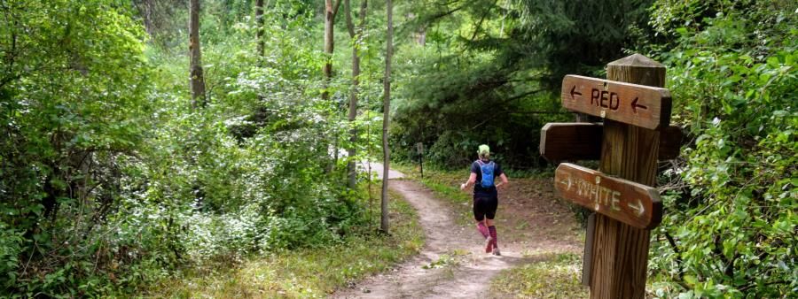 Webster Trail Classic