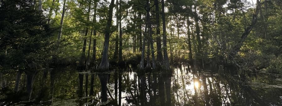 Riverbend Ultras 12 HR/50K/Fun Run