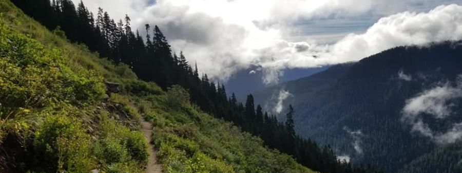 CWES - WAS UP - What a Surprise Creek Loop