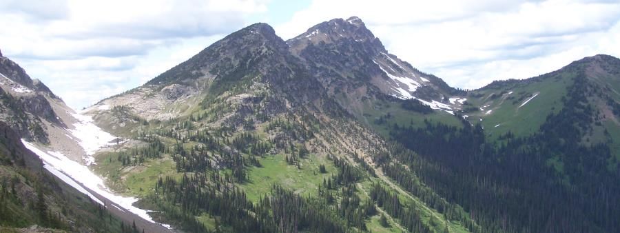Cascadian Wilderness Endurance Series - Buckskin Ridge 42 Miler