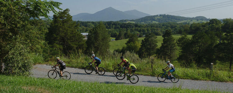 The Hairy Roubaix